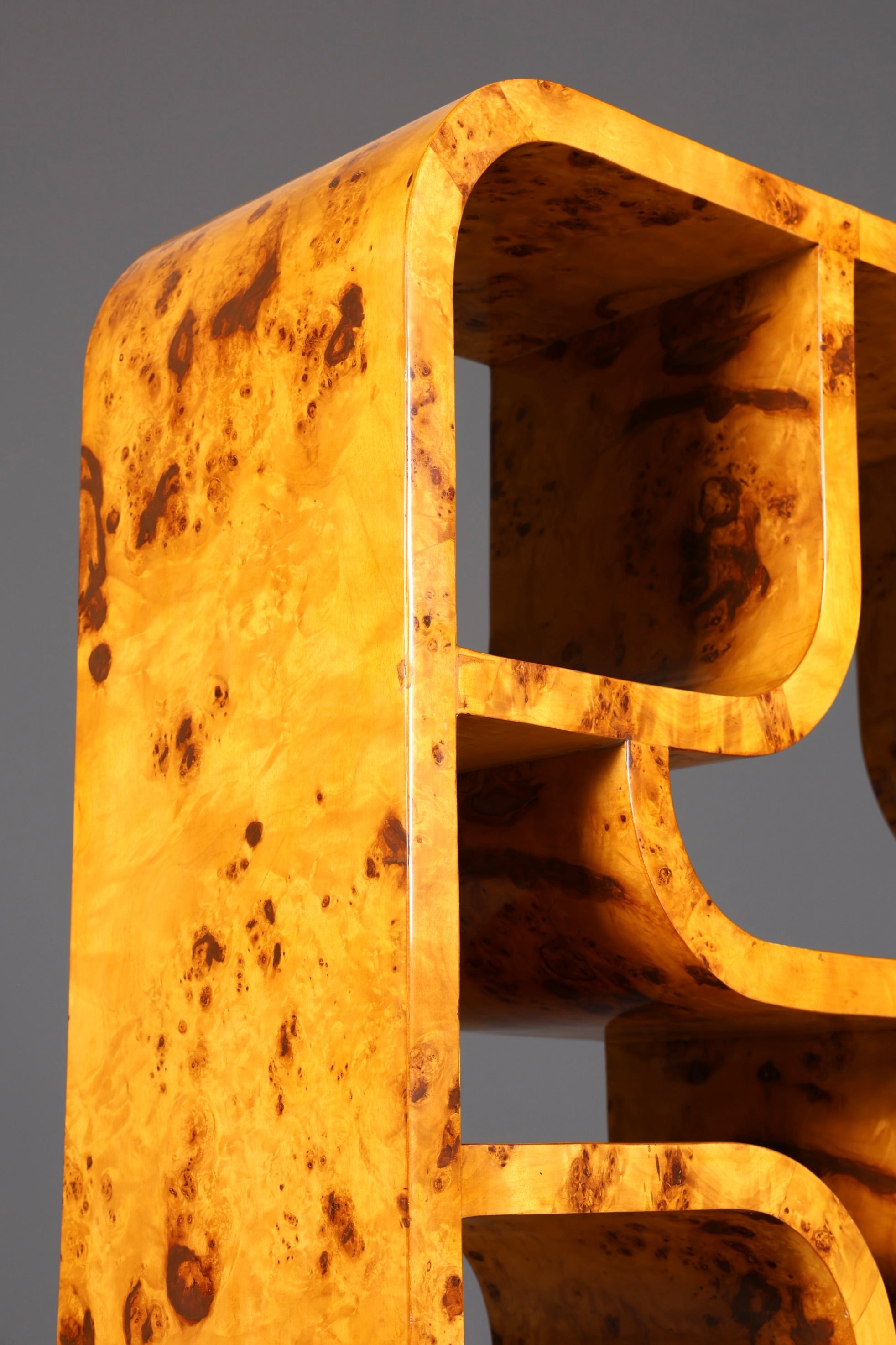 Beeindruckendes Ludvik Volak Stil Bücherregal Birke Art Deco Stil Luxus Möbel Kult Bibliothek Raumteiler