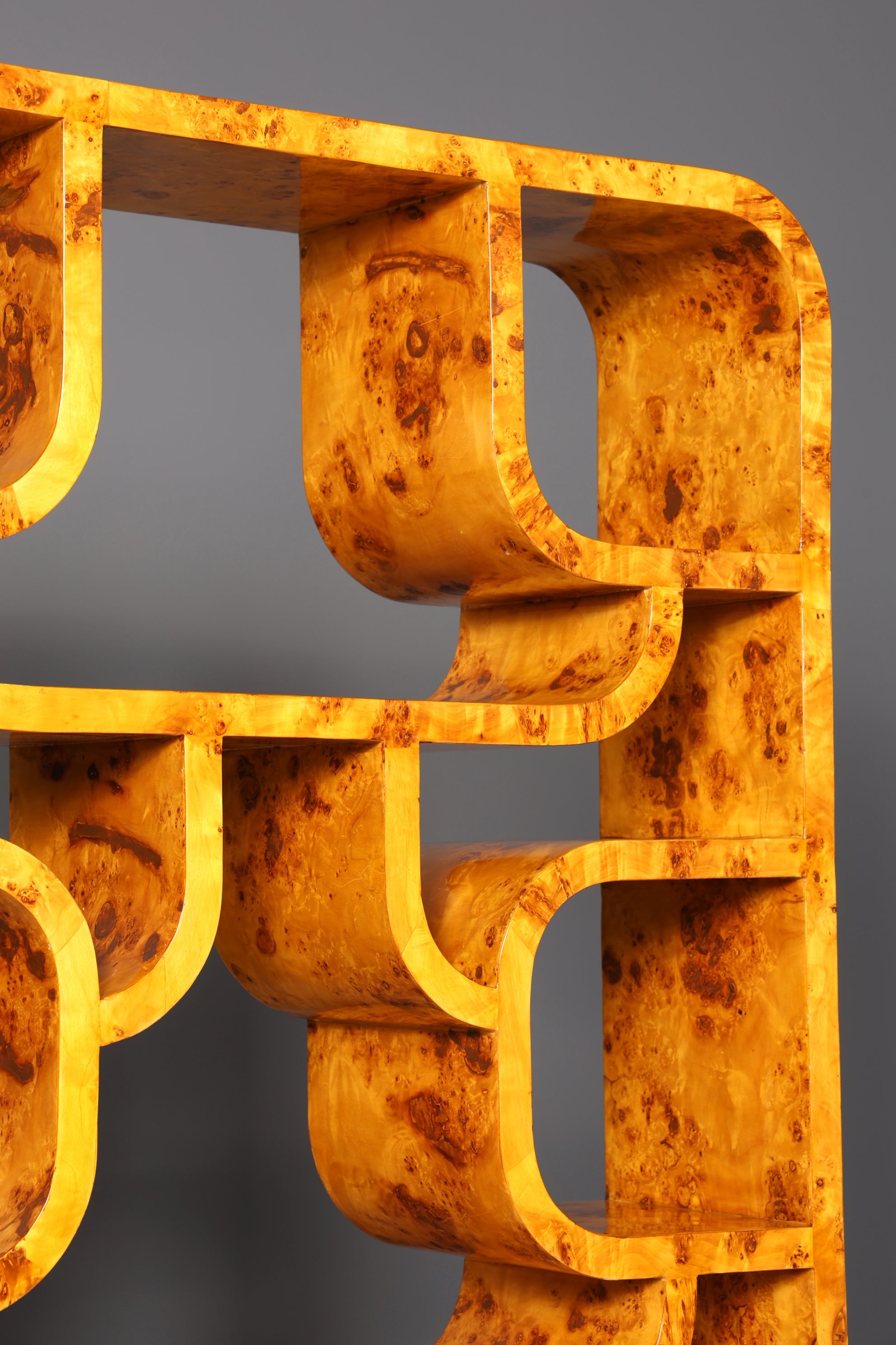 Beeindruckendes Ludvik Volak Stil Bücherregal Birke Art Deco Stil Luxus Möbel Kult Bibliothek Raumteiler