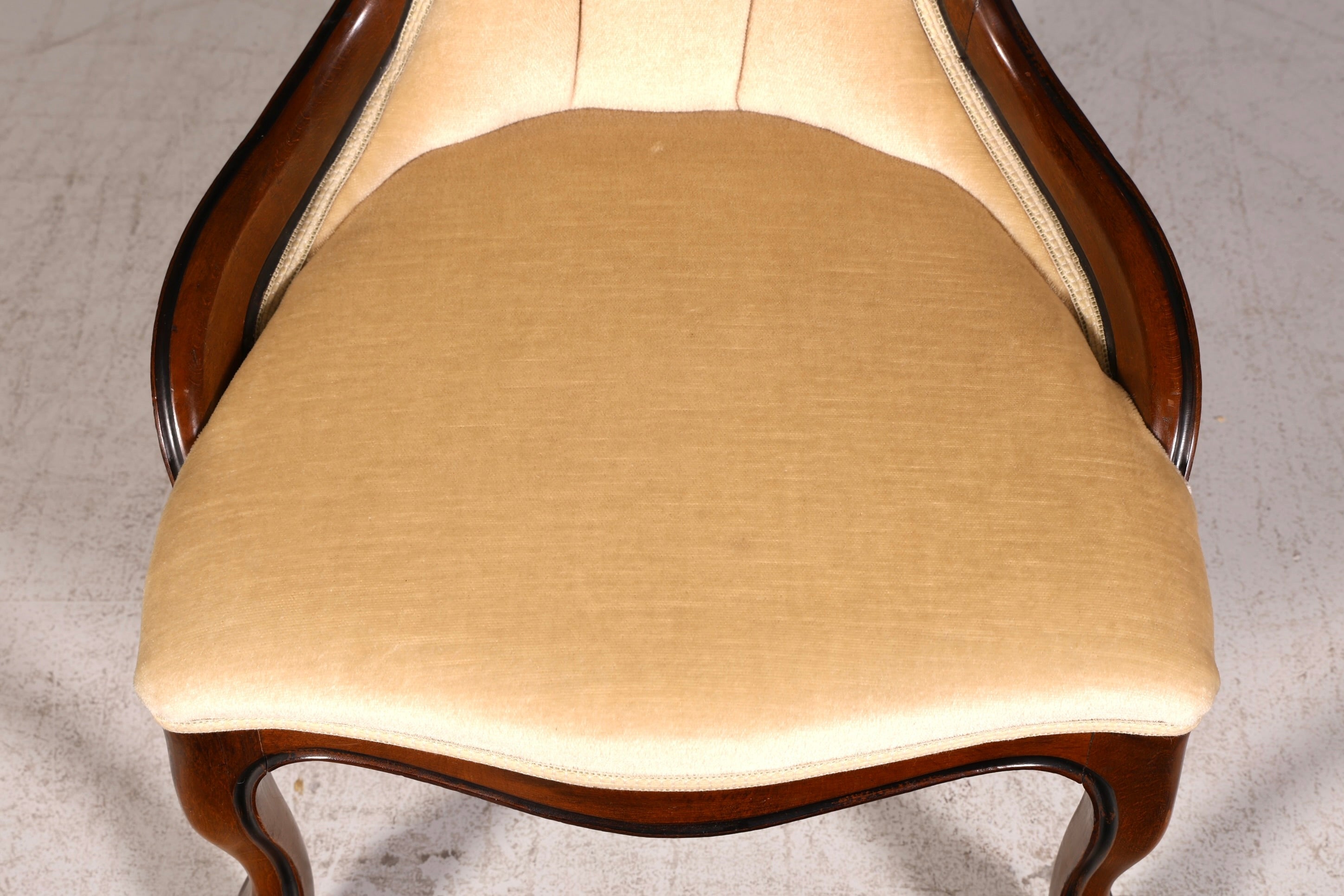 Wunderschöner Louis Philippe Stuhl Antik Chippendale Sekretär Stuhl Polsterstuhl Echt Holz Esszimmerstuhl Vintage
