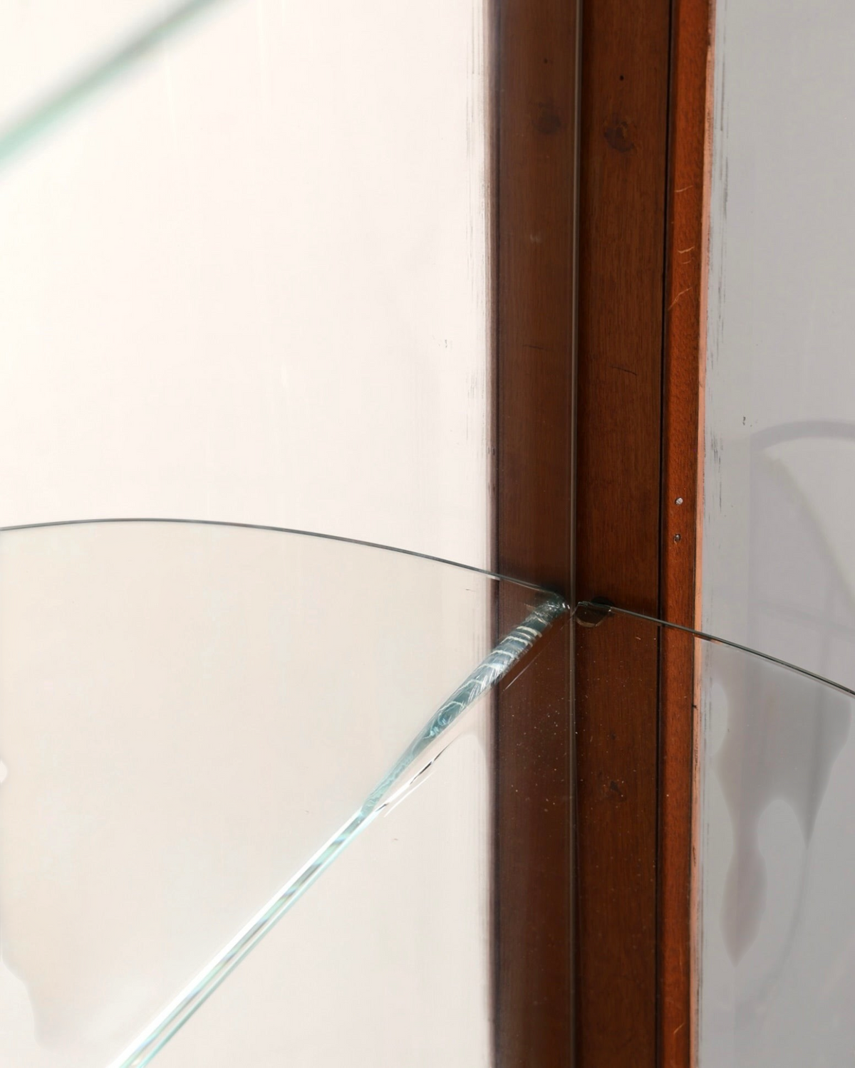 Detailansicht eines Hauptstadt Möblerei Vitrinenschranks mit Holzkante und eingesetztem Glasboden