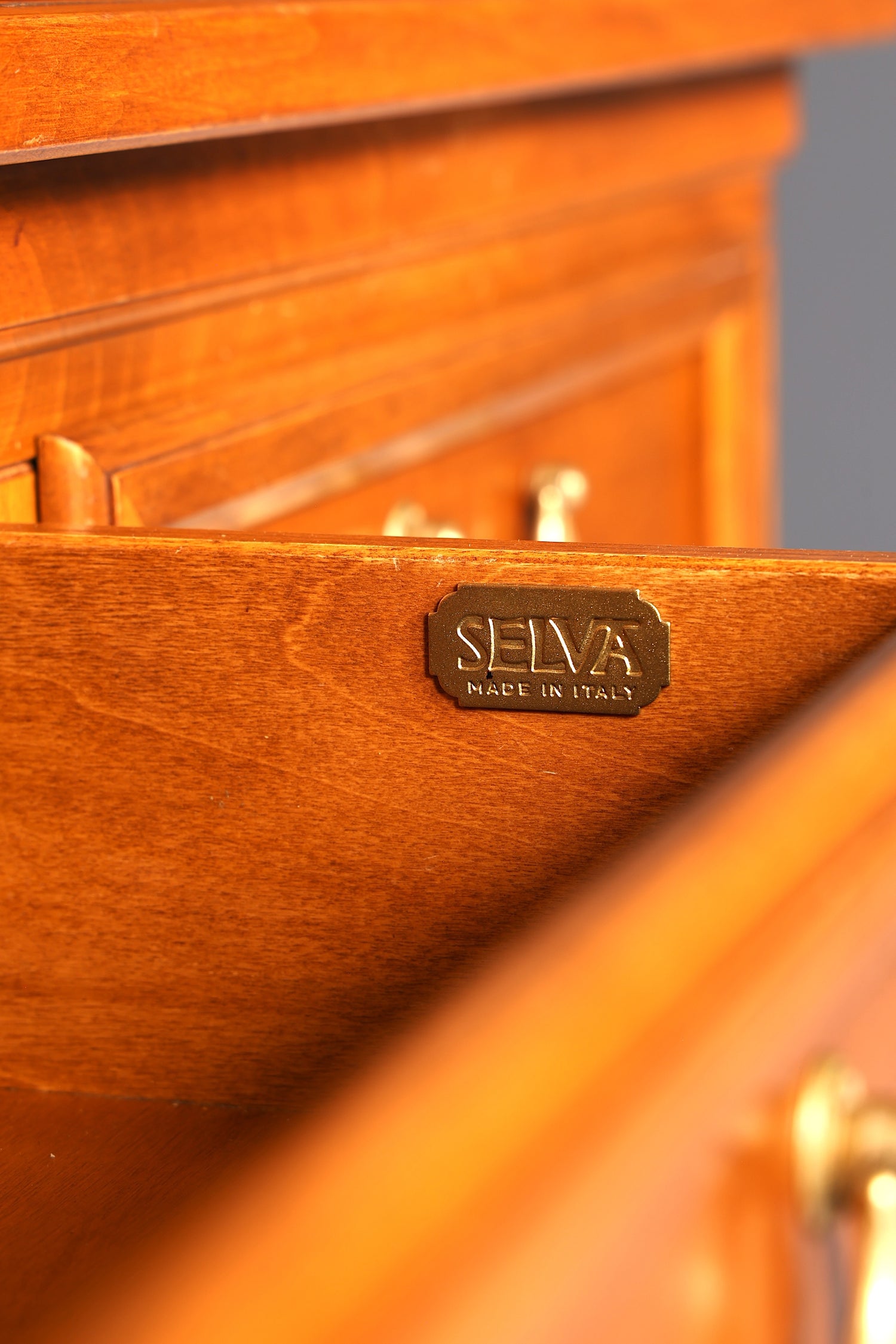 Traumhafte Original Selva XXL Vitrine Antik Stil Massivholz Villa Borghese Schrank Bibliothek