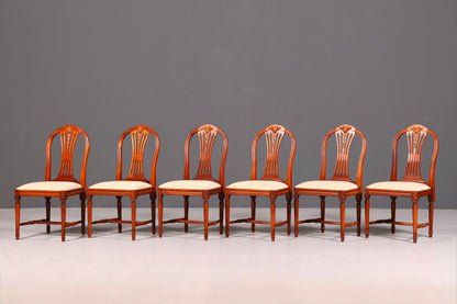 Edles 6er Set Stühle Gustavianischer Stil Englisch Esszimmerstühle Antik Polsterstuhl Set
