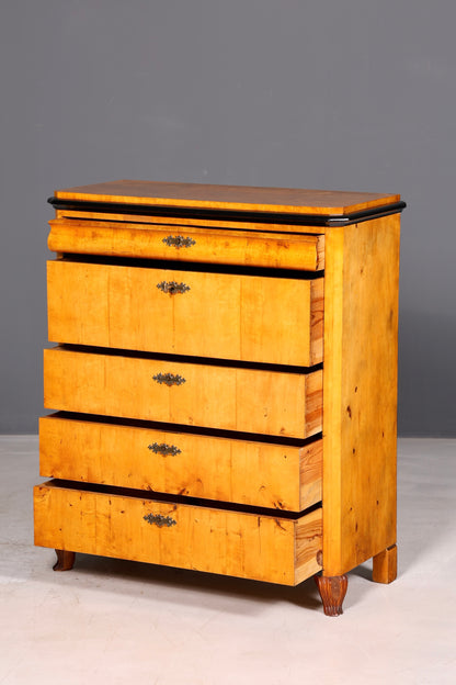 Beautiful antique Biedermeier chest of drawers, vertiko, birch, circa 1850, solid wood