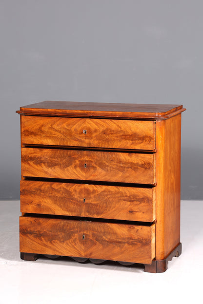 Dreamlike Biedermeier Louis Philippe antique chest of drawers, linen chest