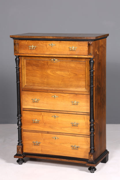 Traumhafter Gründerzeit Sekretär Vertiko Highboard Louis Philippe Kommode um 1880