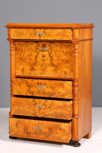 Wunderschöner Gründerzeit Sekretär Vertiko Highboard Louis Philippe Kommode um 1880