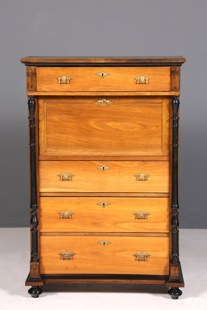 Traumhafter Gründerzeit Sekretär Vertiko Highboard Louis Philippe Kommode um 1880