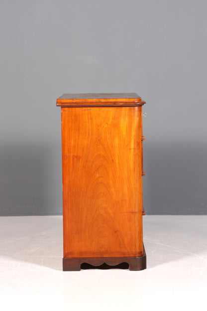 Dreamlike Biedermeier Louis Philippe antique chest of drawers, linen chest