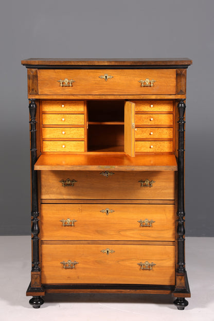 Traumhafter Gründerzeit Sekretär Vertiko Highboard Louis Philippe Kommode um 1880