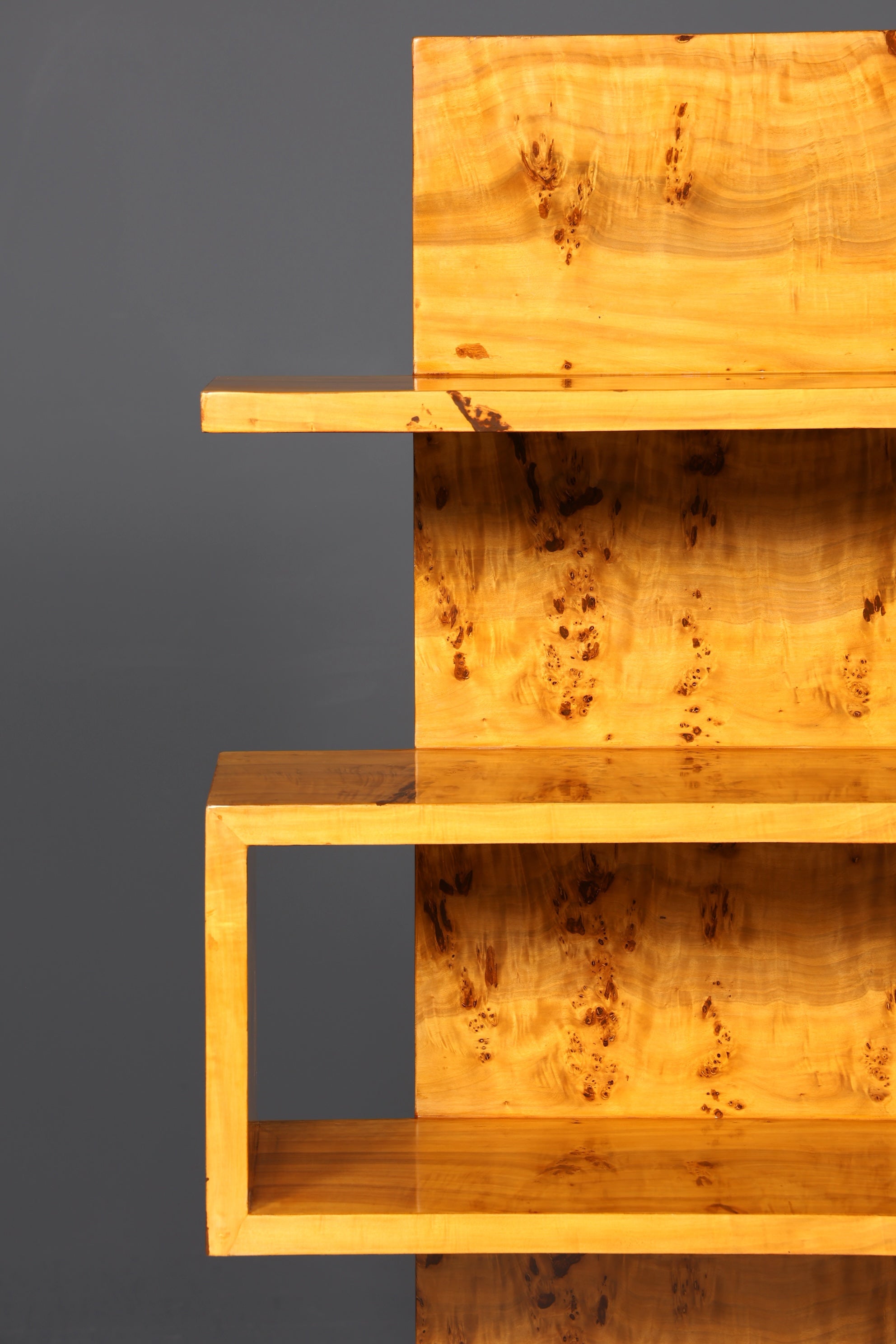 Dreamlike Art Deco style birch bookcase, luxury furniture, cult cabinet shelf.