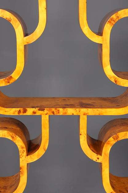 Beeindruckendes Ludvik Volak Stil Bücherregal Birke Art Deco Stil Luxus Möbel Kult Bibliothek Raumteiler