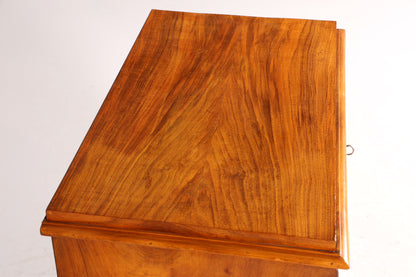 Edle Gründerzeit Kommode Jugendstil Schubladenkommode Antik Wäschekommode