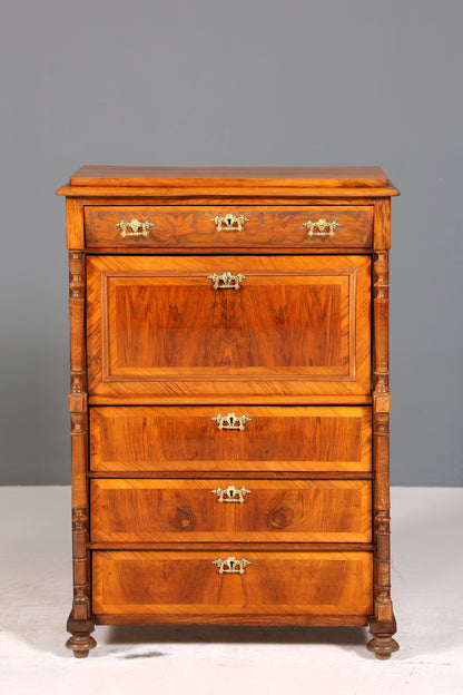 Edler Gründerzeit Sekretär Vertiko Highboard Louis Philippe Kommode um 1880
