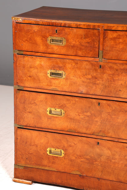 Wunderschöne Maritime Kommode Englisch Military Chest Schrank Schubladenkommode Wäschekommode Antik