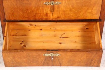 E900 Finish Traumhafte Gründerzeit Kommode Jugendstil Schubladenkommode Antik Vertiko Wäschekommode